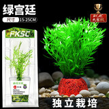 疯狂水草赛级绿宫廷鱼缸造景观植物造景鱼缸水培植物专用水草源头直发包邮