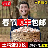 乡公馆土鸡蛋新鲜农家散养谷物喂养无抗土鸡蛋柴笨鸡蛋草鸡蛋新鲜整箱装 土鸡蛋30枚 整箱1.2kg