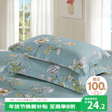 艾薇 A类枕头套纯棉家用全棉单人枕套一对枕芯套 清馨花园 48*74cm