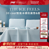 安睡宝（SOMERELLE）冰丝凉席三件套 凉垫 夏季冰床垫 单人学生宿舍凉床冰丝席 清水蓝 学生席垫三件套90*200cm