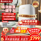 格力（GREE）【干衣除湿】除湿机家用抽湿机40升/天单间≤80㎡低噪回南天除潮防霉吸湿抽湿器智能控湿DH40EF