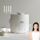 olayks立时 电压力锅 高压锅 多功能高压电饭锅快煮智能压力锅小型 2升适用2-3人用双胆政府补贴YBW2001B