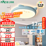 雷士（NVC）LED照明吸顶灯儿童氛围卧室灯创意可爱卡通简约-龙猫蓝色