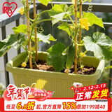 爱丽思（IRIS）种菜盆蔬菜种植箱塑料菜盆特大号阳台种菜神器户外花箱种花菜盆 【2个】中(50cm长)绿色 送隔网