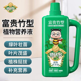 德沃多植物营养液通用型花肥料绿萝发财树富贵竹多肉月季水培绿植花卉肥 富贵竹专用营养液500ml