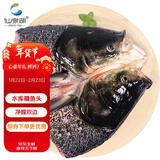 仙泉湖花鲢鱼头 600g/个冷冻双边大胖头鳙鱼年货海鲜水产食材