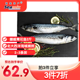 禧美海产 冷冻挪威青花鱼净重2斤/袋 整鱼2-3条 鲭鱼 烧烤食材  海鲜水产