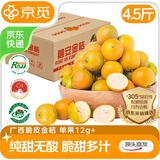 京觅广西融安 滑皮金桔脆皮金桔净重4.5斤单果12g+ 年货水果源头直发