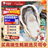 贝司令 鲜活乳山生态生蚝4XL 净重4斤 8-11只 生鲜源头直发年货送礼