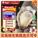 贝司令 鲜活乳山生态生蚝XL 净重4斤 16-22只 生鲜源头直发年货送礼