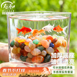 寿禾 玻璃瓶水培植物桌面盆栽加厚透明插花瓶 12*12cm方形水培玻璃瓶