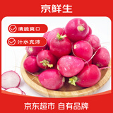 京鲜生河北樱桃小萝卜净重400g*2 单果10g+ 新鲜蘸酱菜水果萝卜源头直发