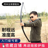 鹰隼（SPG）飞燕一体直拉弓箭郊游景区箭馆入门弓箭箭支套装运动户外射击 飞燕一体弓 实用套装 40磅