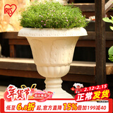爱丽思（IRIS）浮雕杯型创意大花盆户外庭院家用树脂塑料欧式绣球高脚花盆 FC360【陶茶色】约10L