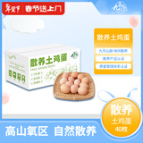 九華粮品散养土鸡蛋40枚 净重3斤 农家柴鸡蛋 笨鸡蛋 月子蛋