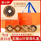 菌心鲜 菌菇礼盒210g 五宝橙山珍干货礼盒羊肚菌特产端午送长辈礼品礼盒