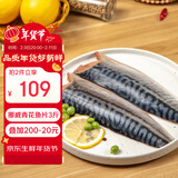 禧美海产 挪威青花鱼片净重3斤 独立包装 大西洋鲭鱼 烤鱼片海鲜