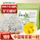 神农金康芽叶莓茶120g（40包）特级野生张家界降三月新茶高搭湖南永顺莓茶