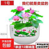无孔树脂花盆绿植盆栽加厚仿陶瓷水培绿植铜钱草碗莲睡莲荷花盆 1号口径22.5cm【加厚款送赠品】 1个盆【无孔】