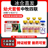 中牧股份CAHIC【冰仓当日发】中牧四联狗狗疫苗幼犬狂犬疫苗套餐狗细小瘟热疫苗 幼犬套餐(3针四联+狂犬 1ml*1瓶 ）+驱虫药1支