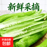 新鲜采摘山东尖椒薄皮微辣青椒黄皮大尖椒辣椒肉厚脆嫩 1斤带箱