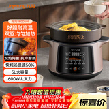 九阳（Joyoung）电炖锅 电炖盅 煲汤锅炖汤锅 煮粥锅多功能锅婴儿熬粥专用 电煮锅 5L炽陶GD509
