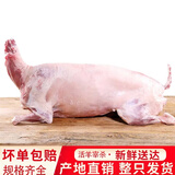 富铭士整羊内蒙古草原放养羔羊新鲜宰杀全羊整只羊送礼 16斤左右全羊整只