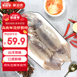 富海锦鲜冻整只大鱿鱼2斤 3-4条 铁板鱿鱼火锅烧烤食材 海鲜年货送礼