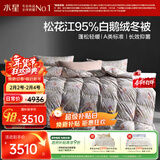 水星家纺羽绒被95%白鹅绒被子冬季加厚冬被芯双人羽绒被220cm×240cm1200g