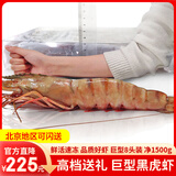 梦尝客黑虎虾超大虾特大号年货礼盒深海巨型老虎虾大对虾生鲜海鲜 巨型黑虎虾8只 1500g(净重)  长28-33cm 精品黑虎虾