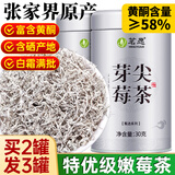 茗愿莓茶【买2送1罐 】2025新茶张家界正宗野头采生龙须芽尖藤茶特级