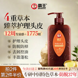 霸王防脱洗发水控油去屑头皮护理洗头膏生姜侧柏叶洗发露750ml