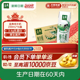 伊利【新鲜日期】金典纯牛奶整箱 250ml*16盒 3.6g乳蛋白 年货礼盒装