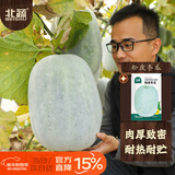 北蔬 冬瓜种子苗特大粉皮冬瓜庭院种植春季蔬菜种籽 粉皮冬瓜种子50粒