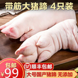 带筋生猪蹄子新鲜猪脚手农家散养土猪肉纯前后猪蹄无毛 猪蹄6根  5.8斤--6斤