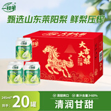 一枝笔山东莱阳梨汁245ml*20罐整箱装批发清润果汁饮料马年年货礼盒送礼