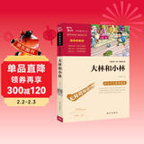 大林和小林（中小学课外阅读 无障碍阅读） 