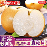 京地达正宗山东莱阳秋月梨子新鲜年货水果重4.5斤单果350g+源头直发包邮