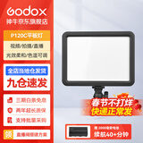 神牛（Godox） 补光灯P120C摄影灯单反摄像机相机摄像灯影视拍照婚庆常亮灯光 P120C平板灯 标配