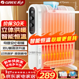 格力（GREE）取暖器电油汀家用电暖器片13片加宽油丁防烫电暖气片NDY19-X6021