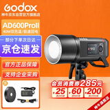 神牛AD600pro II二代外拍灯高速同步闪光灯自动测光频闪高速连拍户外600W大功率摄影灯【官方标配】