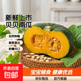 正宗贝贝南瓜小果2斤带箱甜糯粉糯宝宝辅食首选新鲜蔬菜生鲜自然种植健康营养家庭必备优质南瓜