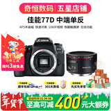 佳能/Canon 60D 70D 80D 77D 90D 二手单反相机 半画幅中端级数码相机 77D+永诺50/1.8 II人像套机 99新
