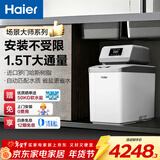 海尔（Haier）中央软水机家用小型厨下式全自动前置全屋净水软水系统大流量套装软化水除垢净水设备过滤器前十名 HZR12软水机（升级罗门哈斯）