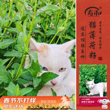 寿禾 猫薄荷种子猫可食用室内驱虫四季种花草种籽 猫薄荷种子约1500粒