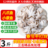 优牧冠 八爪鱼 去内脏鲜活冷冻小章鱼海鲜软足类夜宵烧烤食材 年货送礼 【免处理】约8-16只* 3斤(净重)