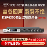 麦乐迪DSP6300卡拉ok混响器 数字音频前级效果器 家庭影院防啸叫调音台处理器含话筒 调音台均衡器 DSP6300专业K歌效果器豪华版 标准版