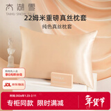 太湖雪双面真丝枕套100%桑蚕丝绸简约22姆米纯色枕头套单只【专柜同款】 典雅金【礼盒装】