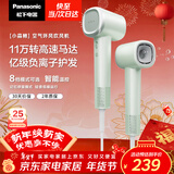 松下（Panasonic）高速护发吹风机速干负离子电吹风家用不伤发送女友新年礼物小森林春光绿EH-NE6L
