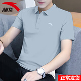 安踏POLO衫短袖男t恤夏季款休闲运动健身服薄款男士冰丝速干跑步男装 7135-6展翅蓝【冰丝速干】 L (175) 适合120-140斤